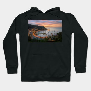 Catalina Island Hoodie